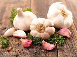 allium