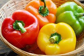 Capsicum