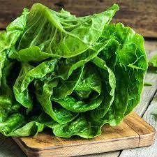  lettuce
