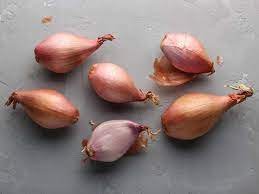 shallot